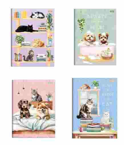 AGENDA INF. BROCHURA 1/4 FUR FRIENDS